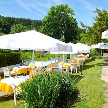 فندق Gaestehaus Dorflinde 3*
